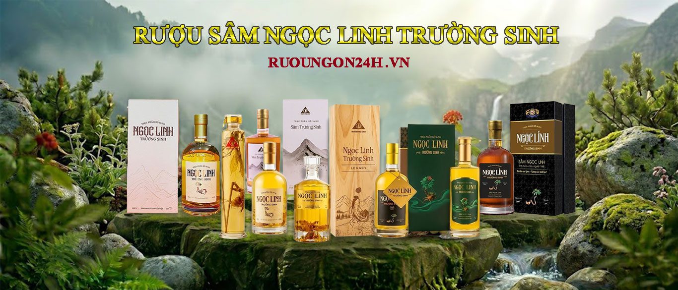 Banner Rượu Sâm Ngọc Linh Rượu Ngon 24H