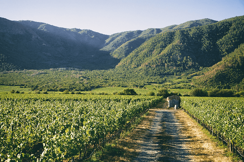 Casablanca Valley