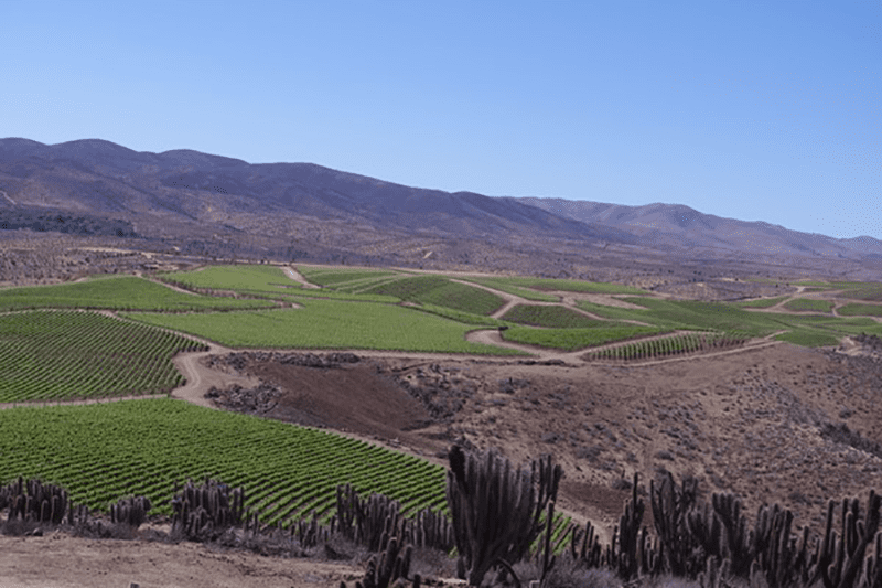 Limari Valley