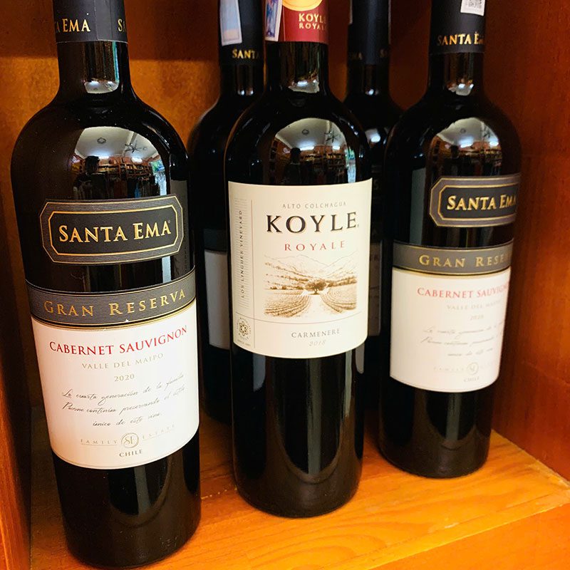Vang Chile Tại Showroom Rượu Ngon