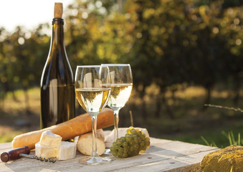 Vang Trắng Chardonnay