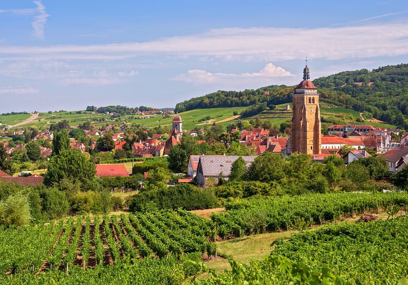 Vùng Vang Bourgogne