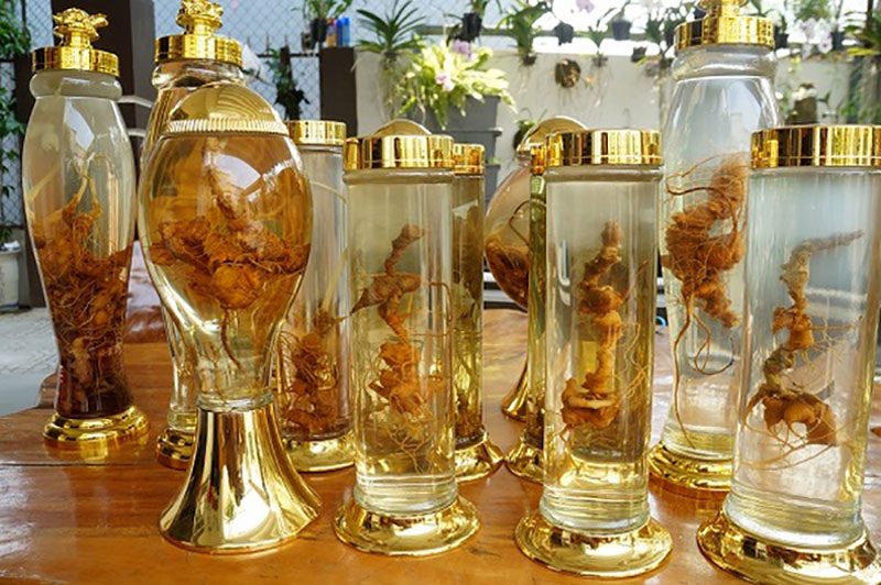 Rượu Sâm Ngọc Linh
