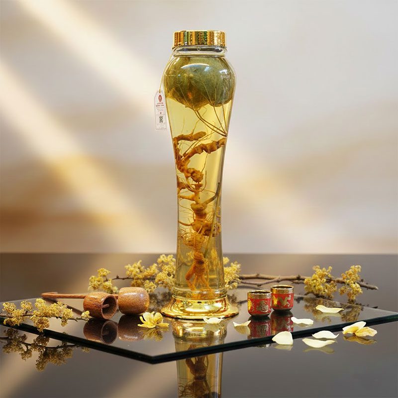 Bình Rượu Sâm Lớn Cao Cấp