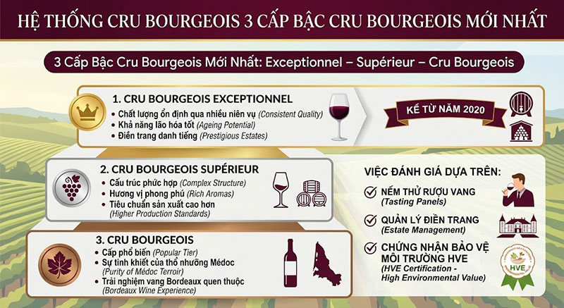 Các Cấp Bậc Cru Bourgeois