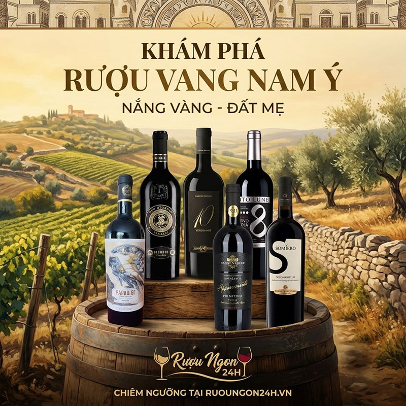 Rượu Vang Nam Ý